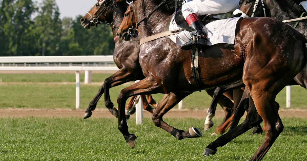 Riding Racehorses What Does It Take to Be An Exercise Rider?
